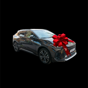 Giant celebration bow (car and box)