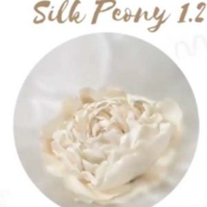 GIANT PEONY PLUS - Image 2